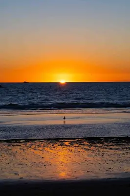 a sunset on the beach with a person in the water at Sweet 2 bedrooms home by the beach city in Los Angeles