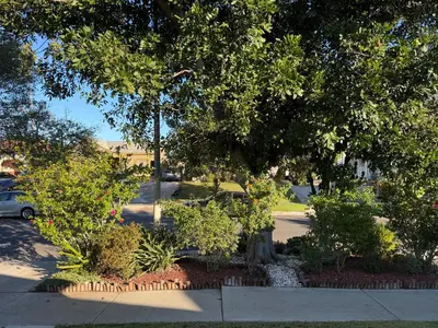 a group of trees in a yard with a street at Dream House Retreat LLC in Los Angeles
