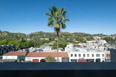 a palm tree in the middle of a city at Snazzy 3BR Apt Hollywood with Pool & Spa in Los Angeles