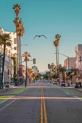 an empty city street with palm trees and a traffic light at Cozy beautiful 2 bedroom home at the beach in Los Angeles