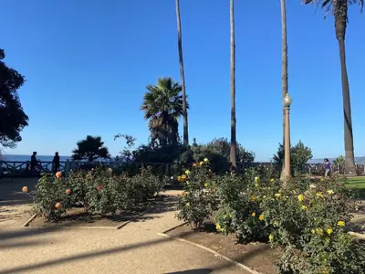 a garden with flowers and palm trees in a park at Cozy beautiful 2 bedroom home at the beach in Los Angeles