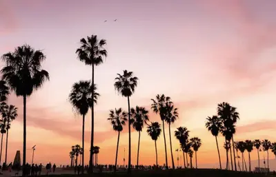a group of palm trees in front of a sunset at Promenade Studio With Free Parking in Los Angeles