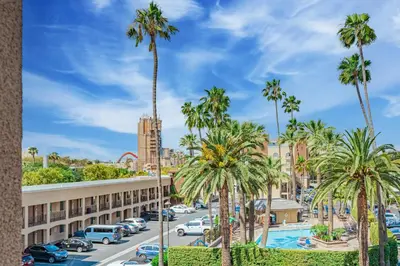 a view of a parking lot with palm trees at Grand Legacy At The Park in Anaheim