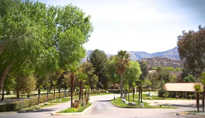 a street in a park with palm trees and mountains at Soledad Canyon Studio Cabin 19 in Ravenna