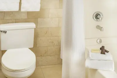 a bathroom with a toilet and a shower with towels at Ayres Hotel Anaheim in Anaheim