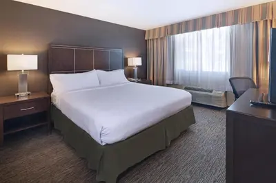 a hotel room with a large bed and a window at Holiday Inn Hotel & Suites Anaheim by IHG in Anaheim