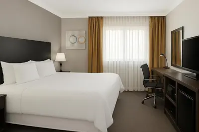 a hotel room with a large bed and a television at The Live Hotel in Los Angeles