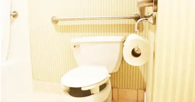 a bathroom with a toilet and a roll of toilet paper at Hotel Burbank in Burbank