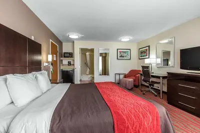 a hotel room with a large bed and a desk at Comfort Inn Los Angeles near Hollywood in Los Angeles
