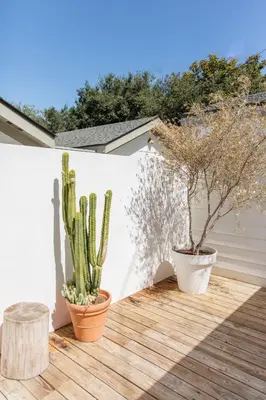 two cacti and two potted plants on a deck at CALAMIGOS RANCH Resort & Spa in Malibu
