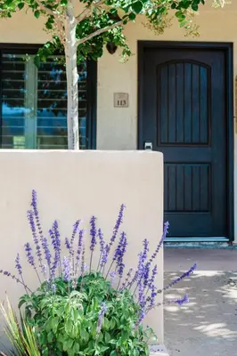 a plant with purple flowers in front of a door at Casa Ojai Inn in Ojai