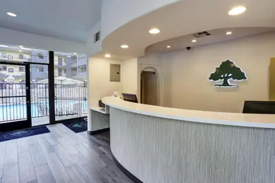a lobby with a tree sign on the wall at GreenTree Pasadena in Pasadena