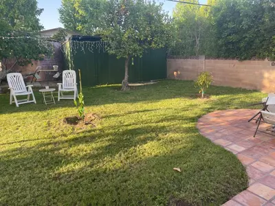 a backyard with two lawn chairs and a tree at The Village in North Hollywood