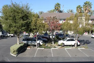 a group of cars parked in a parking lot at Alamo Inn and Suites - Convention Center in Anaheim