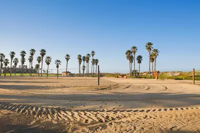 a dirt road with palm trees in the background at Channel Island Shores in Oxnard
