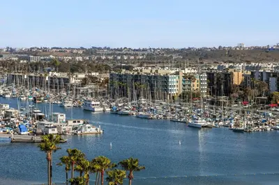 a marina filled with lots of boats and palm trees at Marina del Rey Marriott in Los Angeles