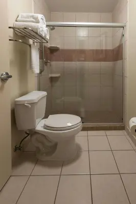 a bathroom with a toilet and a shower at SpringHill Suites Ridgecrest in Ridgecrest