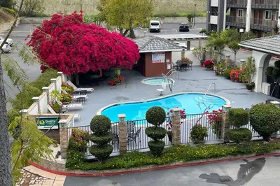an overhead view of a swimming pool with pink flowers at Quality Inn Ontario Airport Convention Center in Ontario