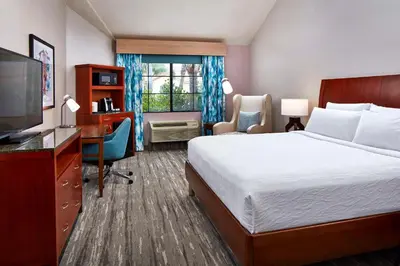 a hotel room with a bed and a desk and a television at Hilton Garden Inn Valencia Six Flags in Valencia