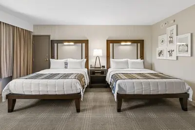 a hotel room with two beds and two mirrors at Knott's Hotel in Buena Park