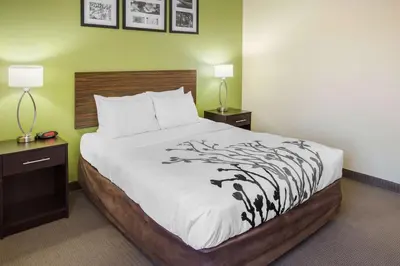 a bedroom with a bed with a black and white comforter at Sleep Inn & Suites Bakersfield North in Bakersfield