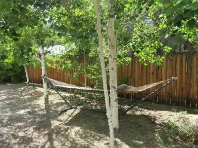 a hammock tied to a tree in a yard at Piece of Paradise in Big Bear Lake