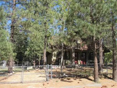 an old house in the woods with trees at Miller's Outpost in Big Bear Lake