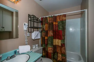 a bathroom with a shower curtain and a sink at Avalon Hide Out-1336 by Big Bear Vacations in Big Bear Lake