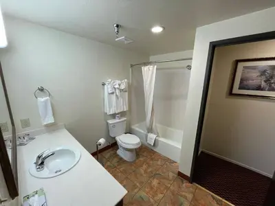 a bathroom with a sink and a toilet and a shower at Oakridge Inn in Oak View
