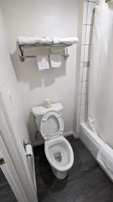 a white bathroom with a toilet and a shower at Airport Motel - Inglewood in Inglewood