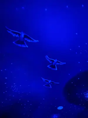 a group of birds flying in the blue sky at Golden West Manor Motel in Los Angeles