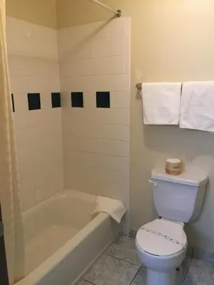 a bathroom with a toilet and a tub and a sink at Mountain Inn in Ontario