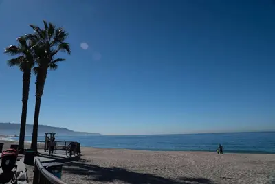 a beach with a palm tree and the ocean at Ramada by Wyndham Redondo Beach in Redondo Beach