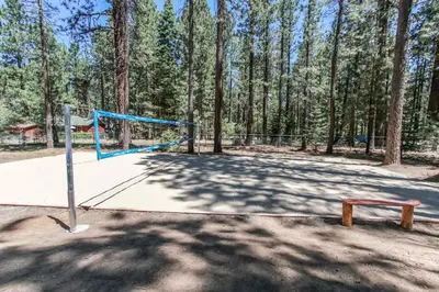 a volleyball court with a net in the woods at The Lodge at Snow Summit Home in Big Bear Lake