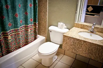 a bathroom with a toilet and a sink and a shower curtain at La Mirage Inn LAX Airport in Los Angeles