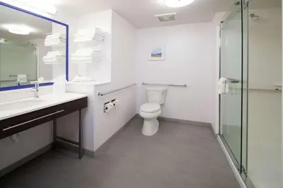 a bathroom with a toilet and a sink and a shower at Hampton Inn Arvin Tejon Ranch, Ca in Wheeler Ridge