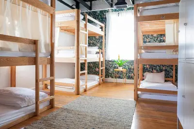 a room with four bunk beds and a window at The Steady in Los Angeles
