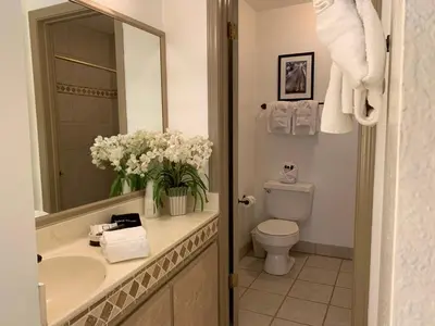 a bathroom with a sink and a toilet and a mirror at The North Shore Inn in Crestline