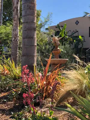 a garden with a palm tree and a fountain at Casa Del Sol in Carpinteria