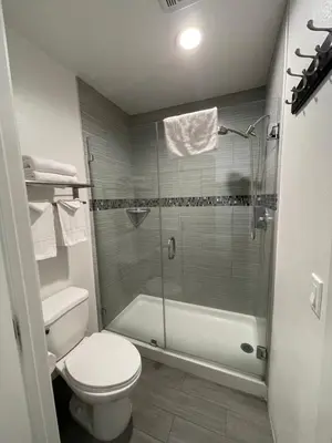 a bathroom with a toilet and a glass shower at Claremont Lodge in Claremont