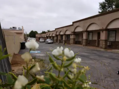 a bunch of white flowers in front of a building at Bartlett Motel in Lomita