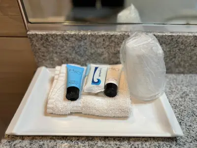 two toothbrushes and a plastic bag on a tray at Garden Suite Hotel and Resort in Los Angeles
