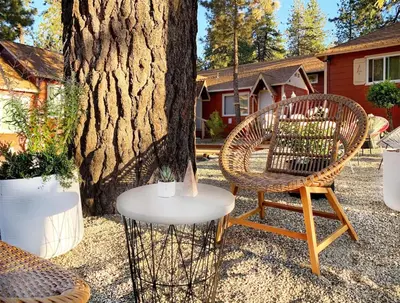 two chairs and a table next to a tree at Grand Pine Cabins in Wrightwood