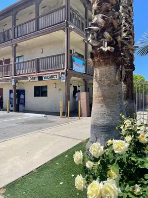 a palm tree in front of a building with flowers at Palms Inn & Suites in Palmdale