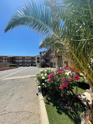 a palm tree and flowers on the side of a street at Palms Inn & Suites in Palmdale