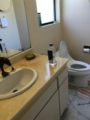 a bathroom with a sink and a toilet at Hollywood Hills private room in Los Angeles