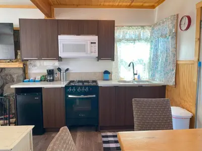 a small kitchen with a stove and a sink at Blue Horizon Lodge in Big Bear Lake