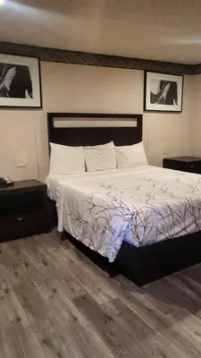 a bedroom with a large bed and two night stands at Valley Inn in Mission Hills