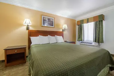 a hotel room with a bed and a window at Rodeway Inn Adelanto US 395 in Adelanto