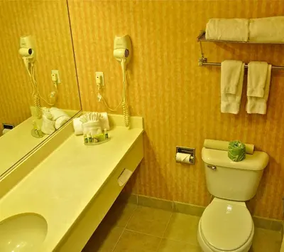 a bathroom with a toilet and a sink and a mirror at Landmark Inn Fort Irwin in Fort Irwin